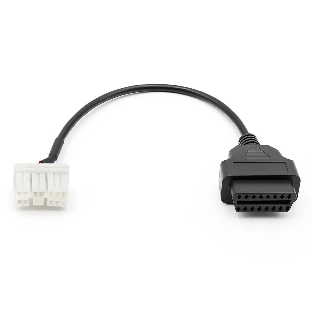 Tesla 12 Pins OBD - 16 Pins OBD2 Verloopkabel Personenauto